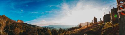 pexels-bertellifotografia-2376986.jpg